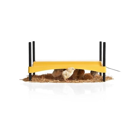 Brinsea Products Inc Brinsea Products USHD612C Eco Glow Safety 1200 Chick Brooder USHD612C